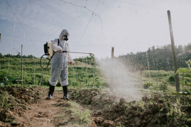Best Best Pest Control Companies  in Muskogee, OK