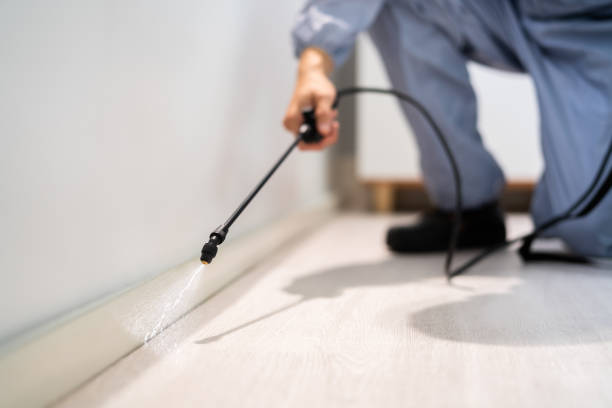 Trusted Muskogee, OK Pest Control Experts