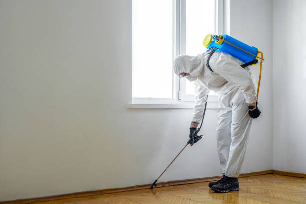 Best Local Pest Control Services  in Muskogee, OK