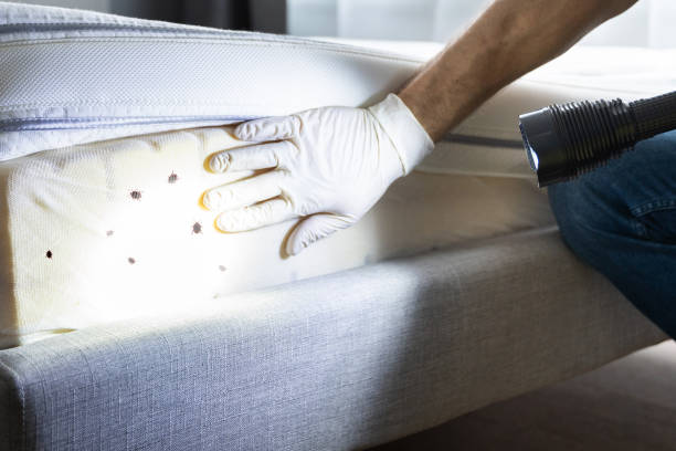 Best Pest Prevention Services  in Muskogee, OK